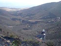 Blick vom Mirador de Haria - Lanzarote