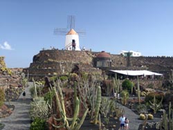 Molino und der Kaktuspark - Jardin de Cactus - Guatiza - Lanzarote