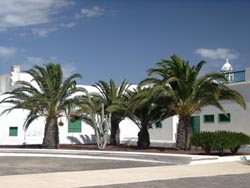 Palmen im Zentrum von Teguise - Lanzarote