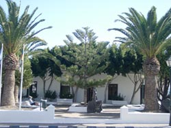 Grünanlage in Yaiza - Lanzarote