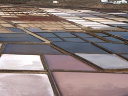 Salzgewinnung - Salinas de Janubio - Lanzarote