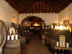 Weinkeller - Museo Agricolo El Patio - Lanzarote