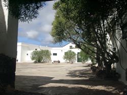 Innenhof - Patio - Museo Agricolo El Patio - Lanzarote