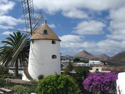 Molino - Museo Agricolo El Patio - Lanzarote