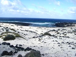 Kirche von Orzola - Lanzarote