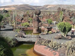 Jardin de Cactus - Guatiza - Lanzarote