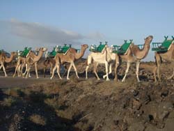 Auf dem Weg nach Uga - Timanfaya - Lanzarote