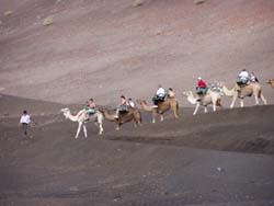 Der Ritt auf dem Vulkan - Timanfaya - Lanzarote