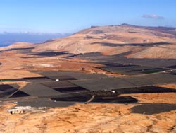Landschaft um Teguise - Lanzarote