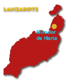 Karte Mirador de Haria - Lanzarote
